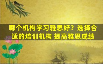 哪个机构学习雅思好？选择合适的培训机构 提高雅思成绩